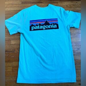 Men’s Patagonia Responsibili-tee Teal T-Shirt Small Regular Fit Good Condition